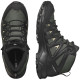 Salomon X Braze Mid GTX